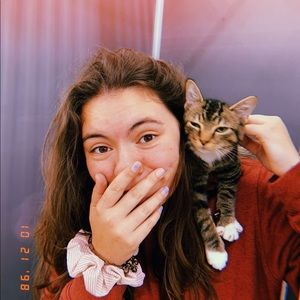 Meet your Posher, Elise